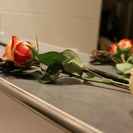 Zerzer Ried im Oberinntal